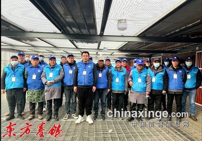 ���հ��贺��500�������ɽ��̩���㽫����