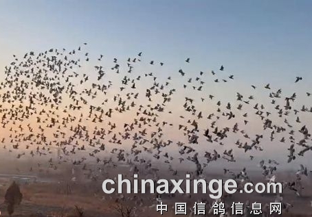 ���հ��贺�����Բ���չ� 46������Ա