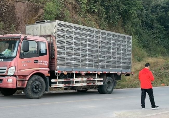 ����1629���������׸�����ھ����� 