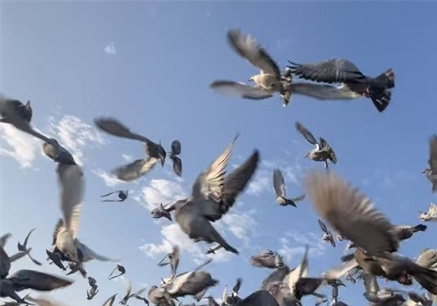 ������վ����������������