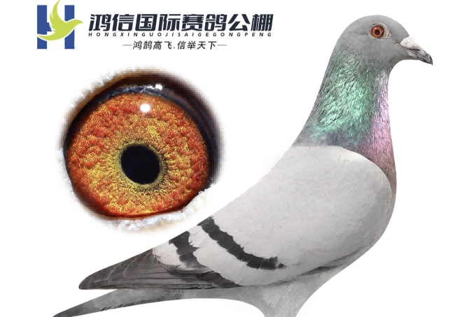 ��ɽ��ˮ������ ������ʡ���������ھ����۷弯��