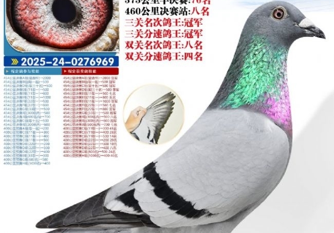 ��ɽ��ˮ����룡2025���Ϲ��������ھ����̵�