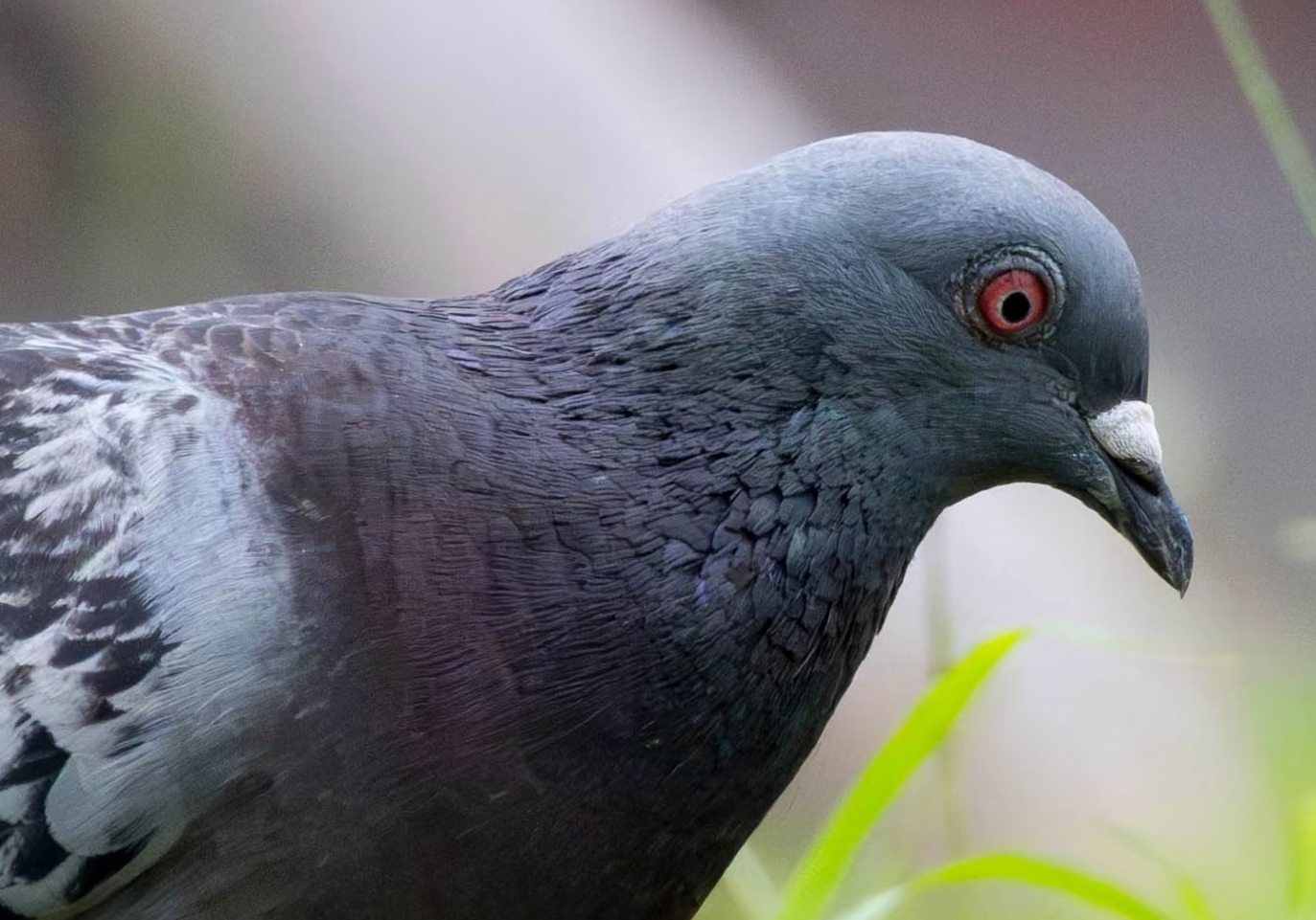 ����ע�������