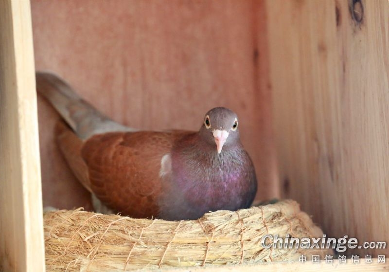 �����۾���������ƣ�����ѡ��