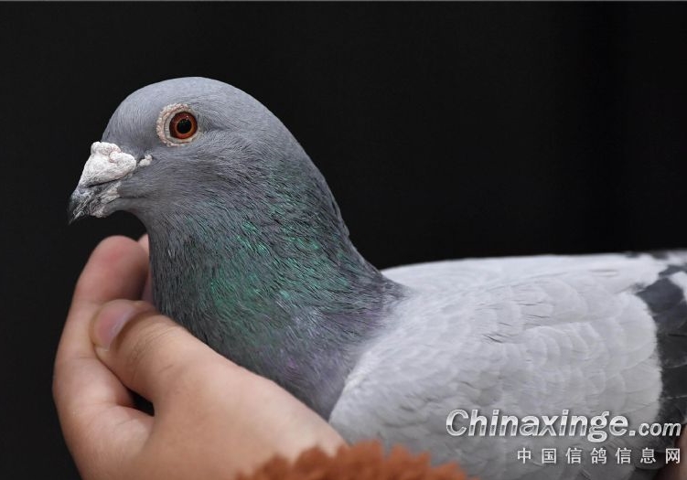 �ø��Ӳ����ӣ��Ƿ�©����Щϸ��