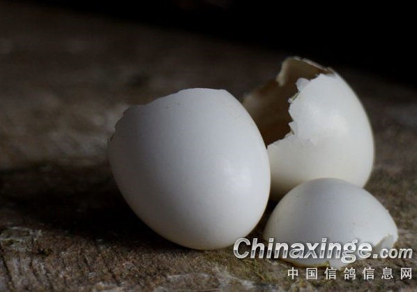 ����Ƹ��¶�������ϸԭ����� 