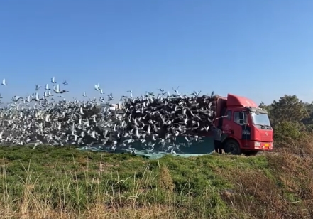 С˵�������ɣ����ʮ�����ֵ�ͻ��