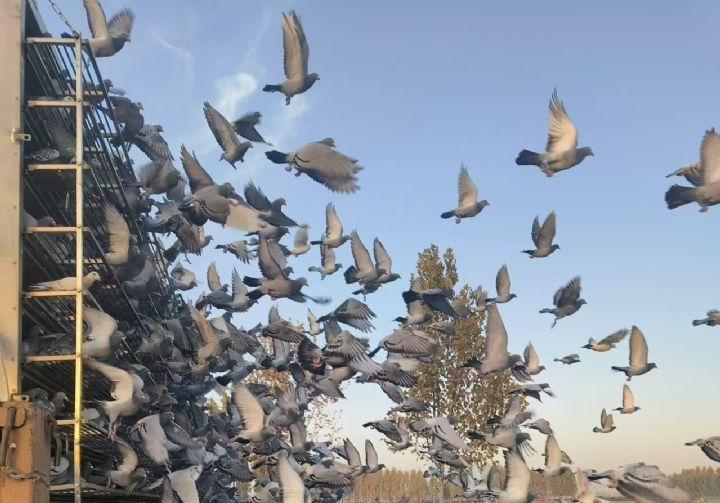 �ѷɣ��ո�2�� �����շ�վ������ǧ