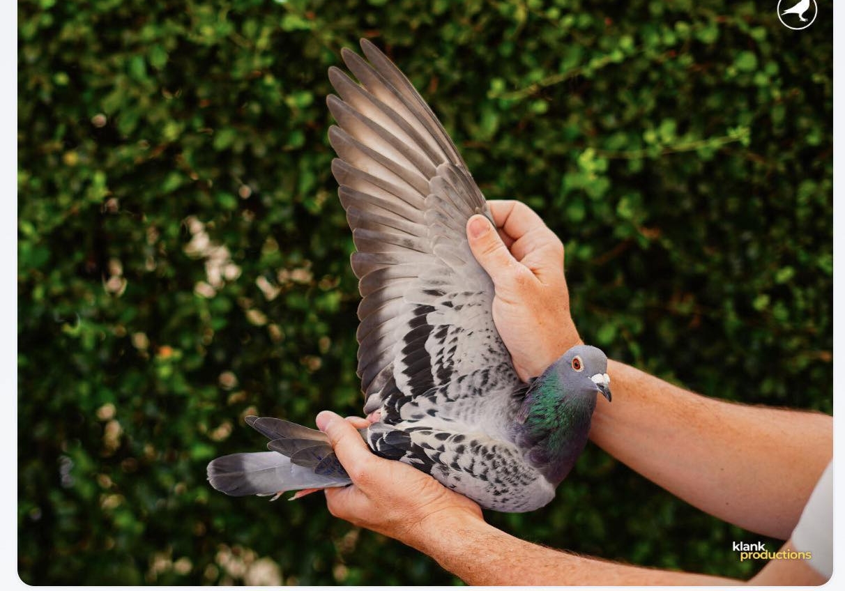 14��ŷԪ�����ٴ������ųɽ��ۼ�¼