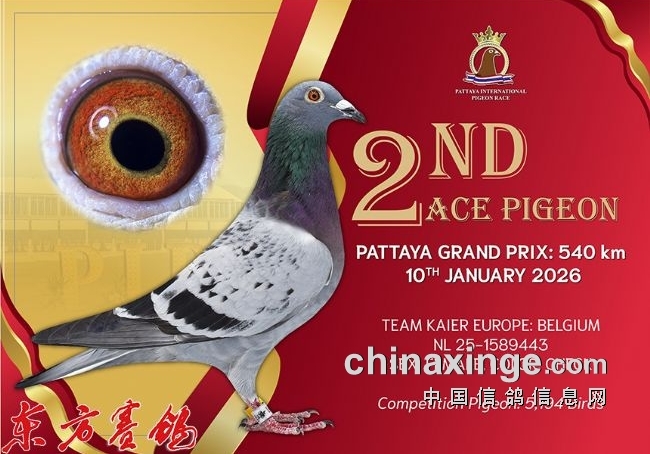 ���������Ÿ��� 14.6��ŷԪˢ��ȫ���¼