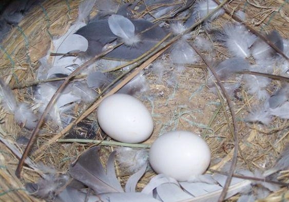 С֪ʶ����Ժ����µ���ã�