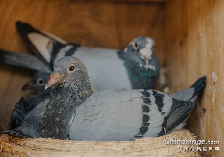 ��һ�Ĺ�����ѡ�������