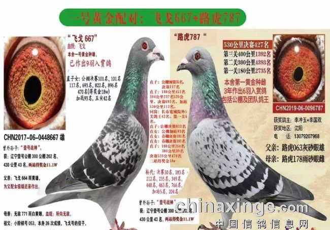 26�걾����������ȫ��¼(һ)