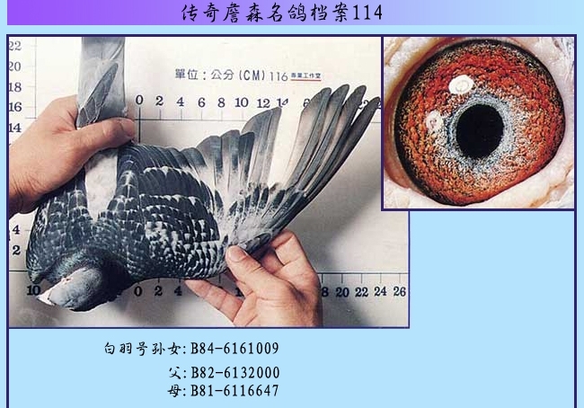 ղɭ���뵵��114�������ֱ��Ů