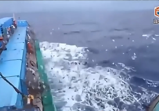 �Ϻ������ʸ�����Ļ 3.9����˳���鳲