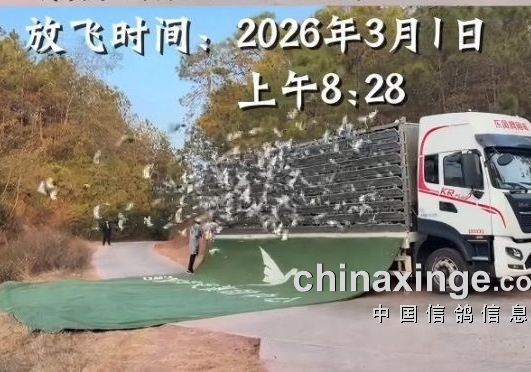 ���ϴ����Ų��� ���ҹ���ͬ�մ������