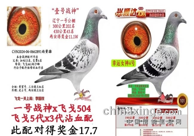 ����մѪ������Ի��ܣ�