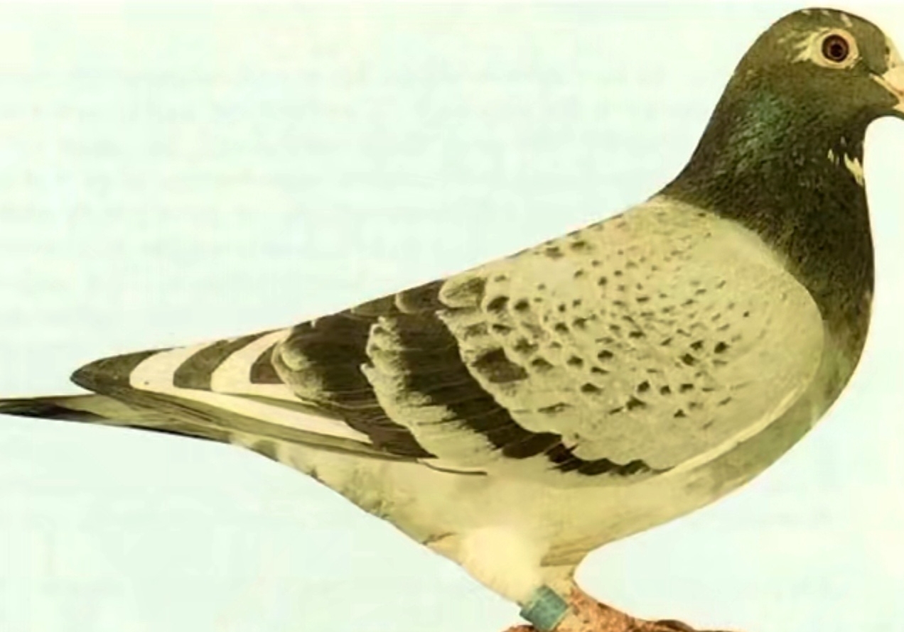 �ױǺű��������ҳ����ָ��������