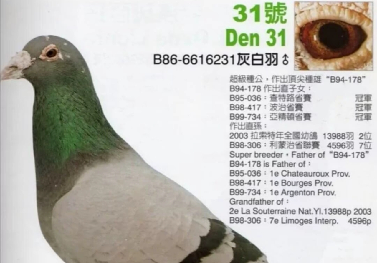 ����ղɭ�ȼ磡Ӣ��˹����������ʷ