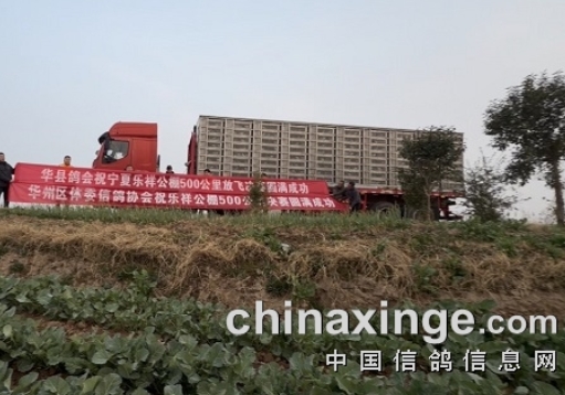 ȡ��1200���������������鴺��ǰ��������