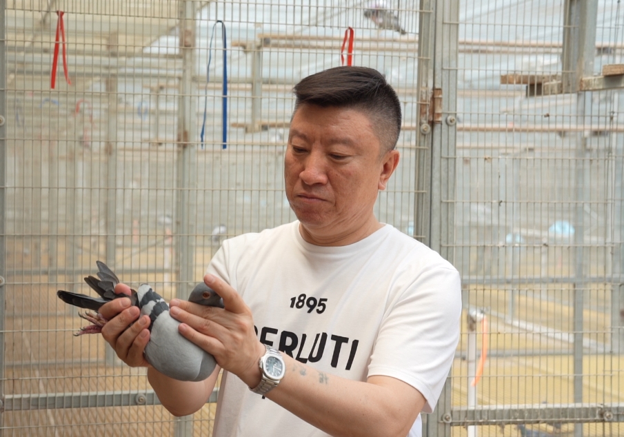 ����ħ�����塪�����ʮ�������֮·