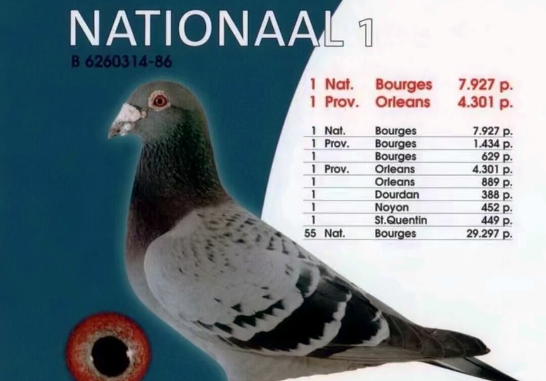 ��·��ͯ���ɱ䣡����1�ŵ���Ϯ֮·