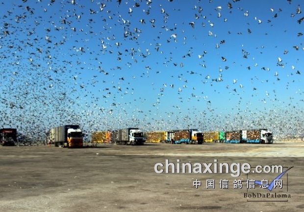 ����ѵ���¸�Ⱦ Ҫ���Ԥ�����