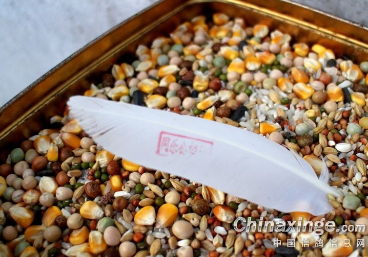 �мǣ��ָ�������ǧ���ܼӻ���