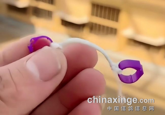 ��Լ��ָ��� ����С���н���Ԥ��