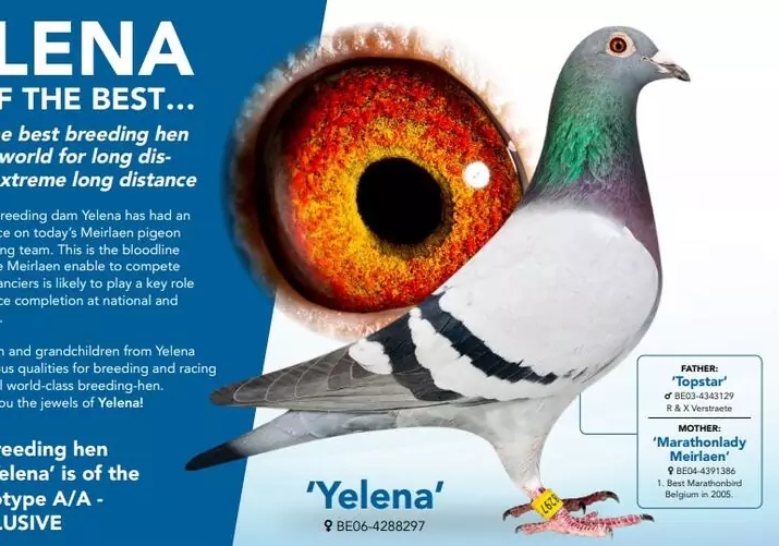 ������������������ϣ��������ĴƸ�����ʮ����Ի�