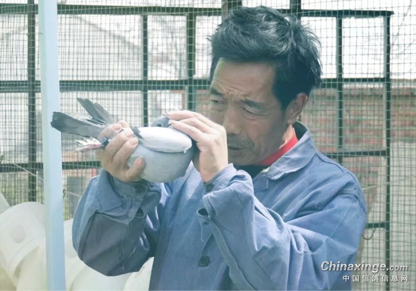 �������2�����磺�붻���³���