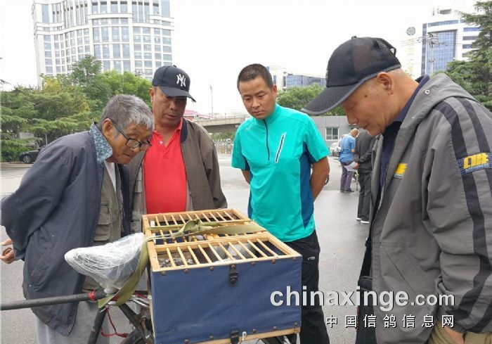 ����ת�ر���תս�������һֱ���