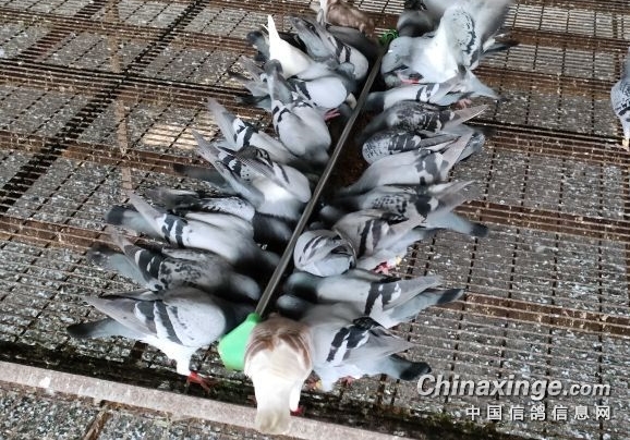 �������Ҫ������ �����ڵ��������