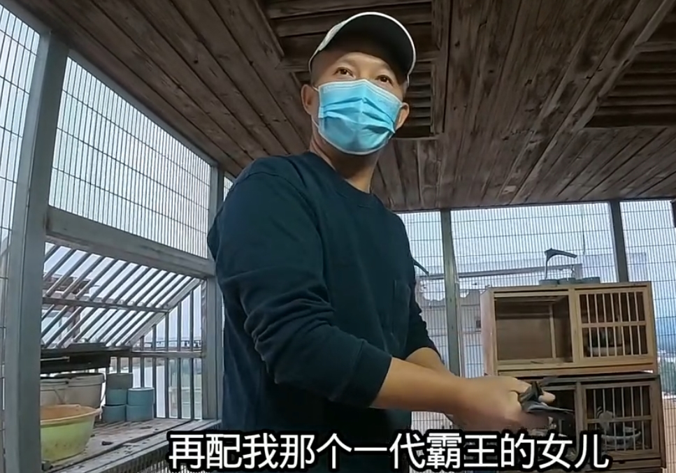 �ø��Ӵ�δ���У��㶫ʵս���ַ�����·Ѫϵ��Է���