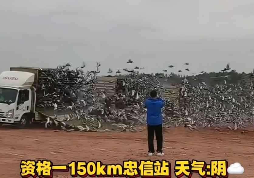 �ۻ�1.1�� �㶫���ϳϴ����ʸ����Ұ�