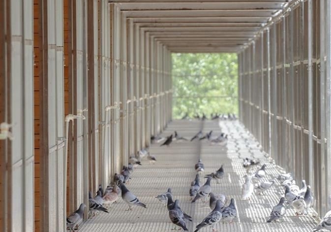 ��Ԫ����ͣ�� С���ѻ�������