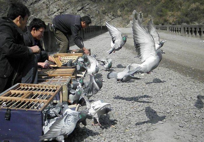 �̾���ѵ��û�ã�˵˵ѵ�ŵ�����