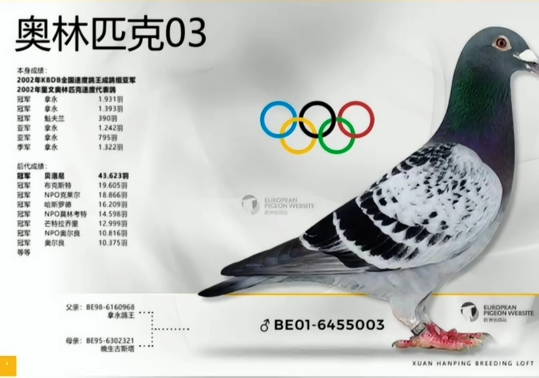 �������½��׻�Ѫ���Ĵ����ԭ��