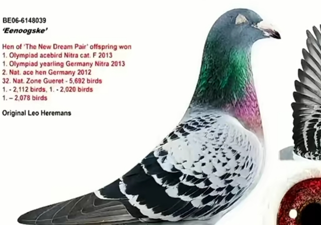 ����Ϲ�Ĵ����ĸ ����������������