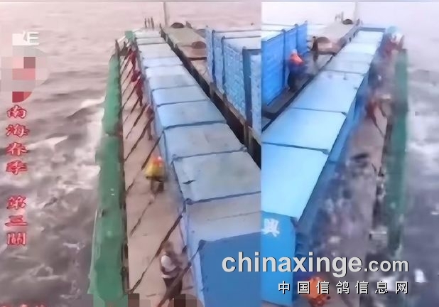 �Ϻ����ع鳲���˳� 2����ս������