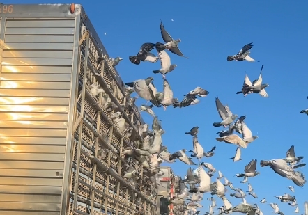 ǰʮ�Ұ���������Ԥ���ھ�����1750