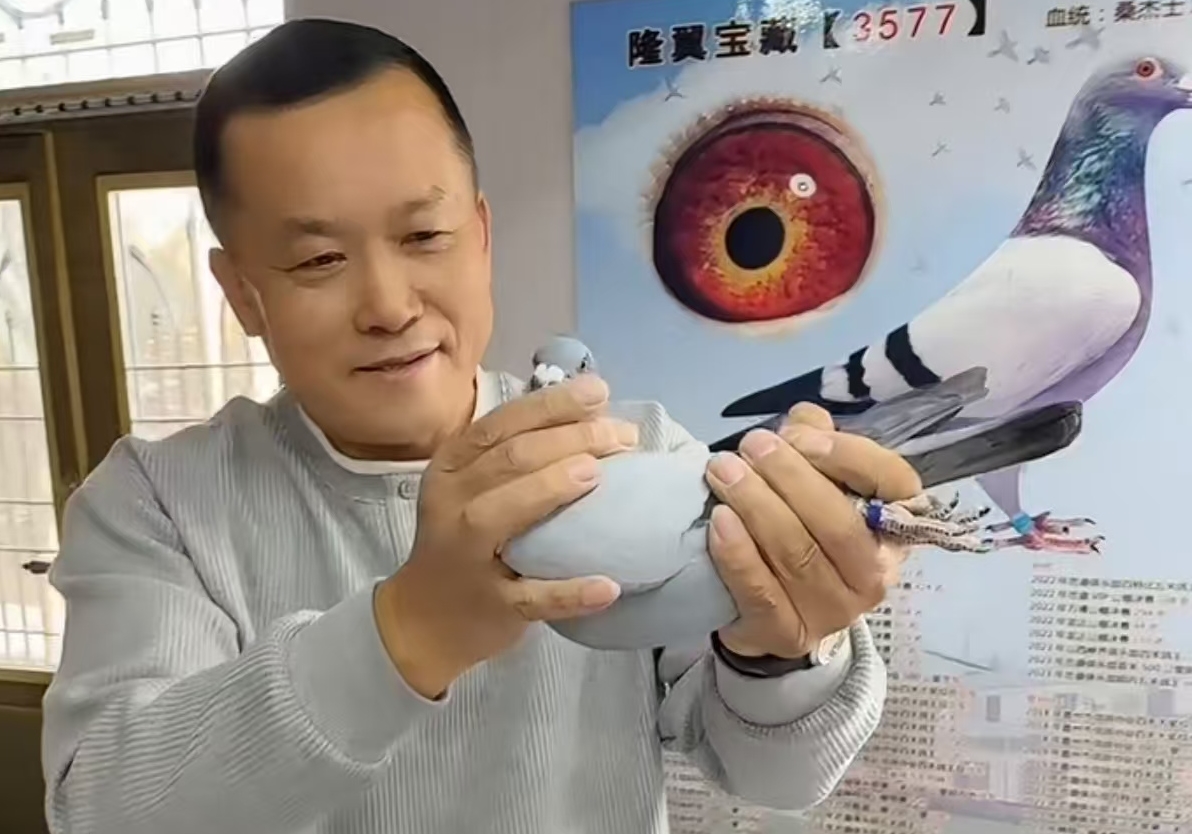 ���������˸����ھ�������¡��ׯ԰һ·�Ǳȷ���20�� 