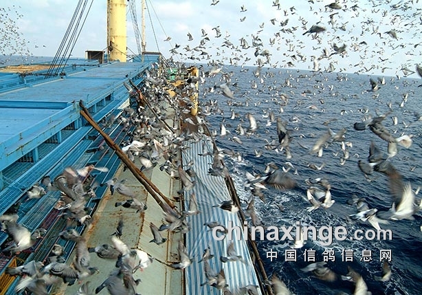 ���볬������ ̨�山���ʸ�����������¬