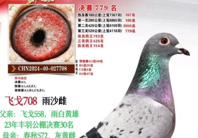 56�����İ������� �͸��ҵ��������