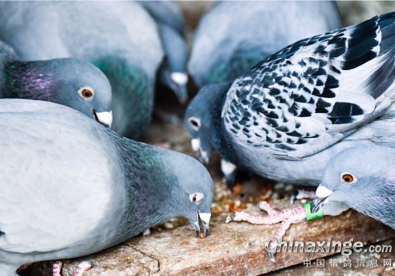 �����Ӧ����Ӧ��λ��⣿