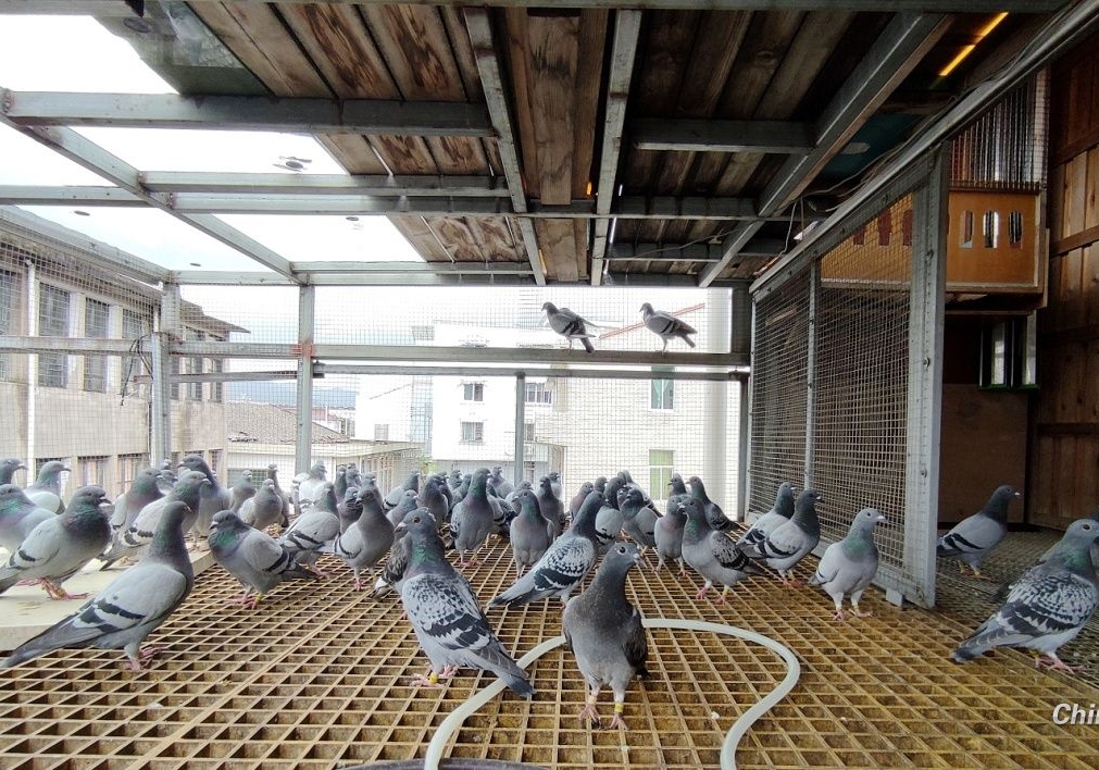 ����̫�������� �ϸ��ѵ�Ѫ�ᾭ��