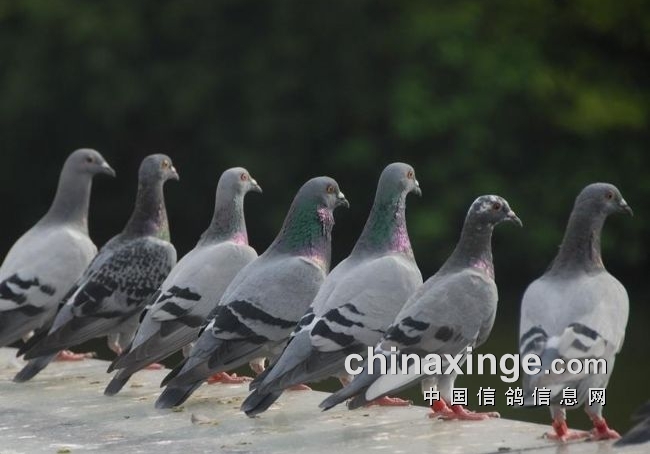 ��ѧ���� ���ٶ����ʵ���ؼ�