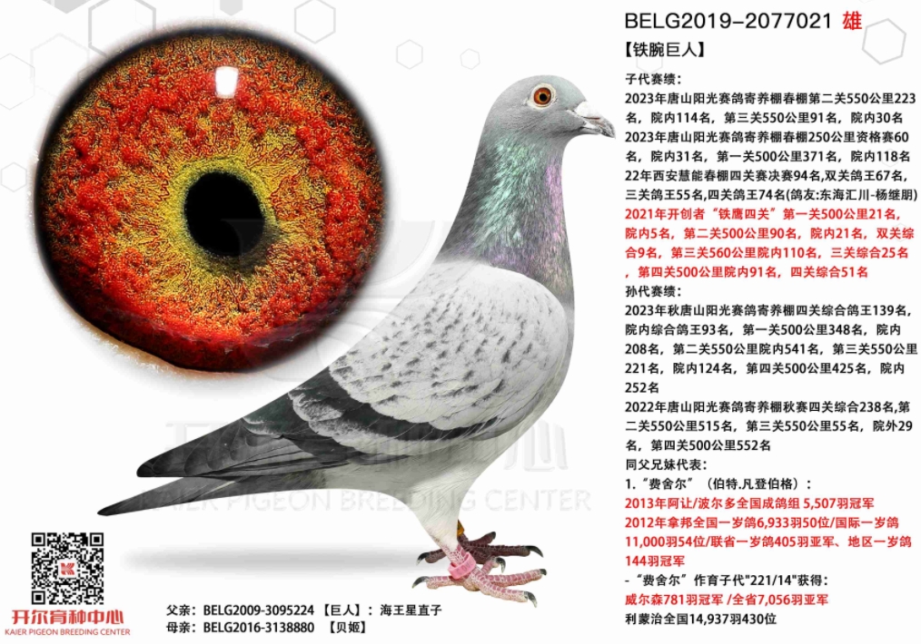 �Ǳ��������� ����������