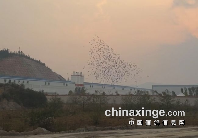 ���ٴ�1746�����������վ�����׾���