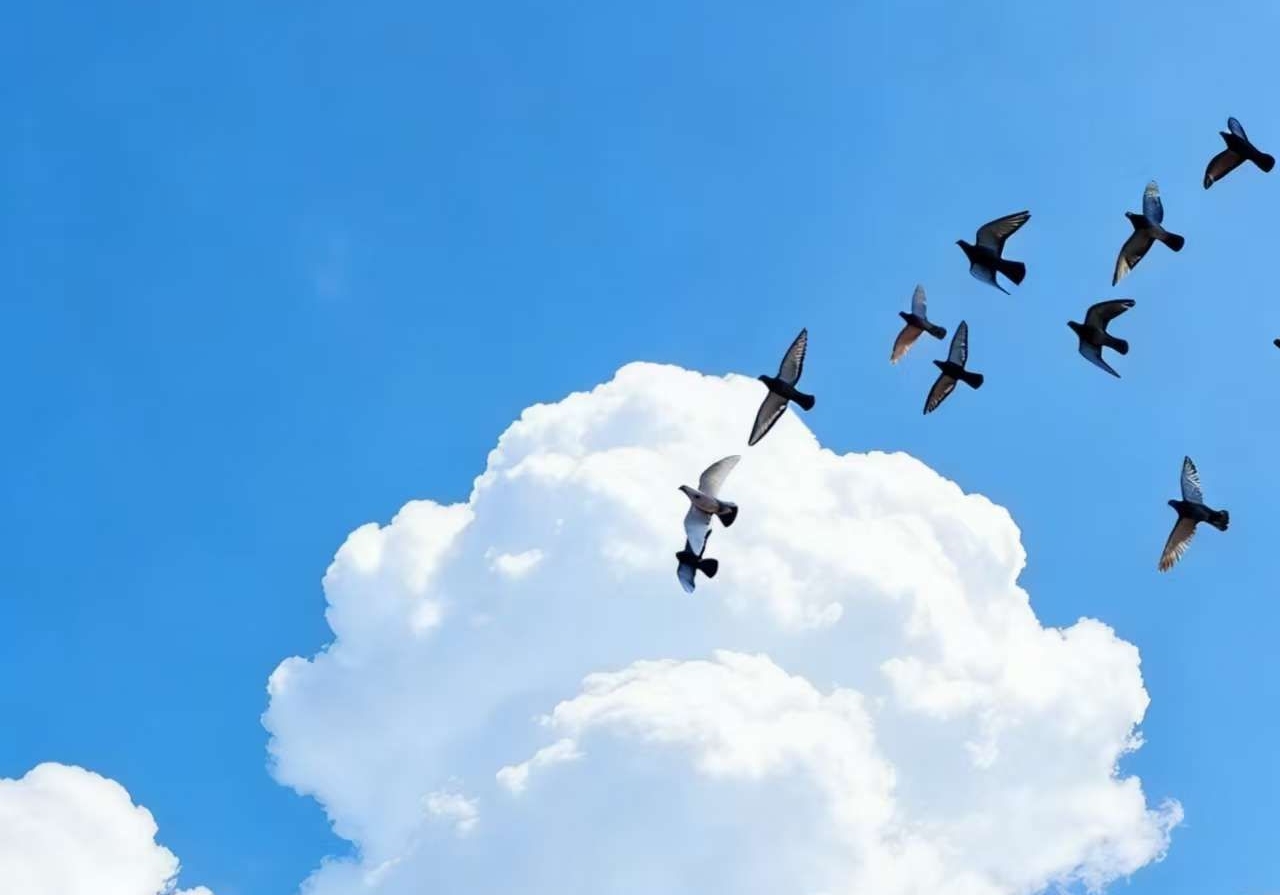 ������������ů ��Э����������